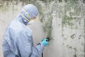 Mold Remediation for Vacation Homes in Friendship Heights Village, MD